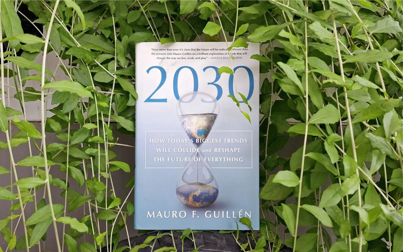 2030 dan Indonesia emas